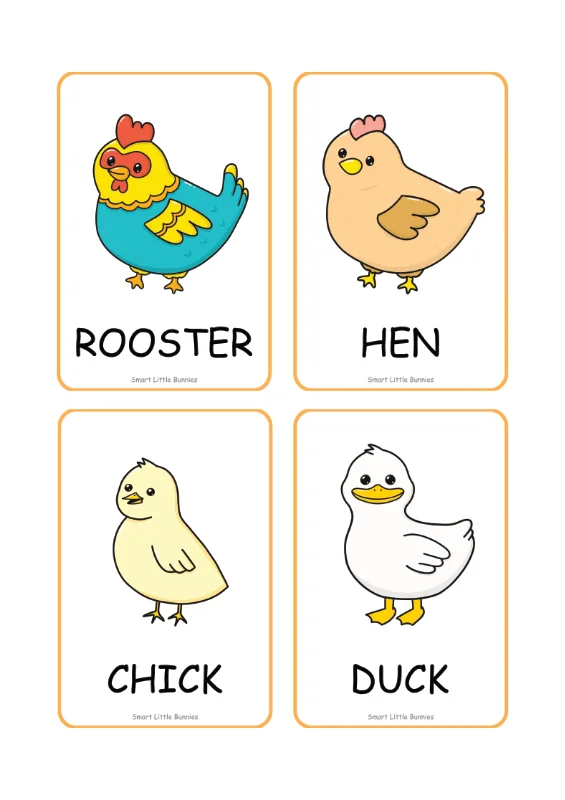 Farm animal flash cards rooster hen chick duck