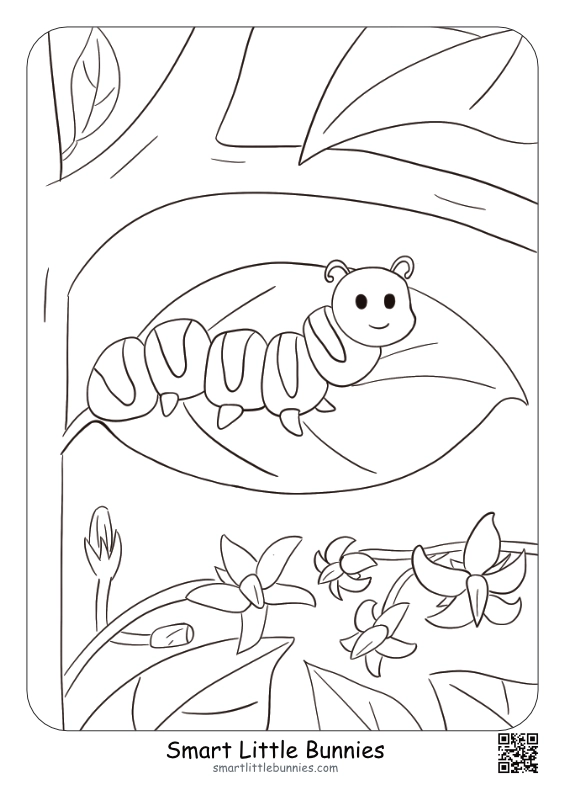 Caterpillar on a Leaf - Free Printable Coloring Page for Kids