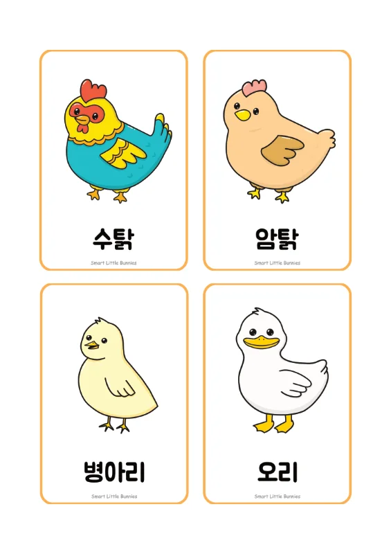 농장 동물 플래시카드 수탉 암탉 병아리 오리